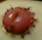 ΢ňDƬ_20210221100457.png