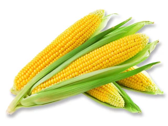 ΢ňDƬ_20220208095611.jpg